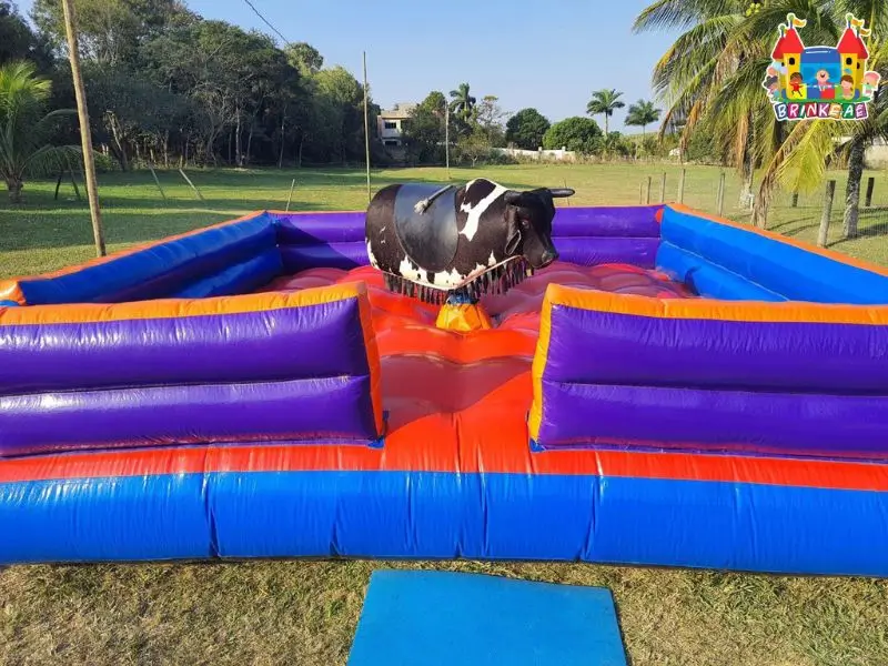 Aluguel de Brinquedos em Rio das Ostras RJ